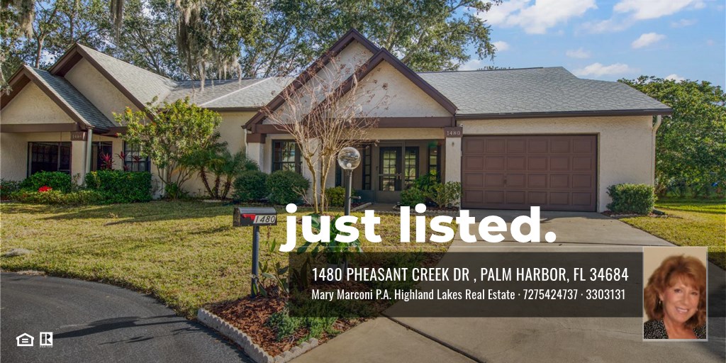 1480 Pheasant Creek Dr, Palm Harbor, FL 34684